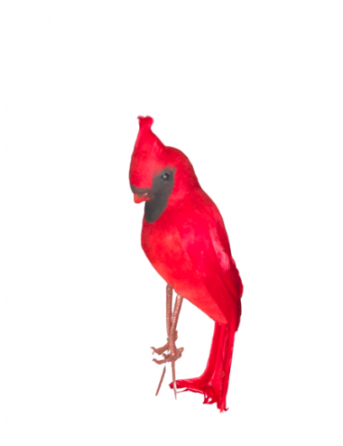 Oiseau rouge décoratif