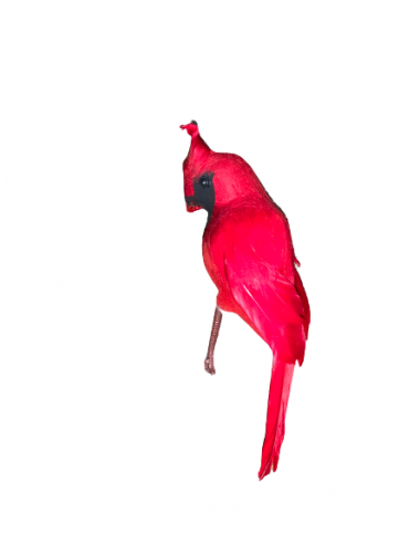 Oiseau rouge décoratif