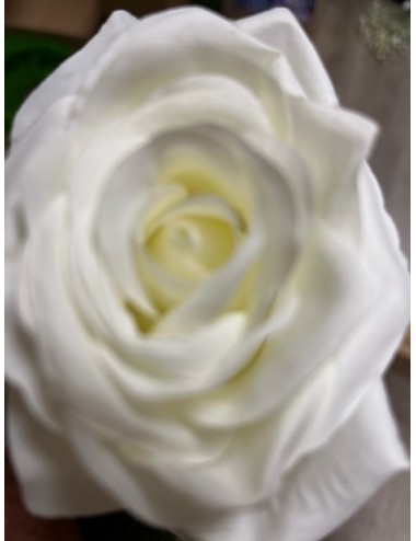 Rose simple blanche 54cm