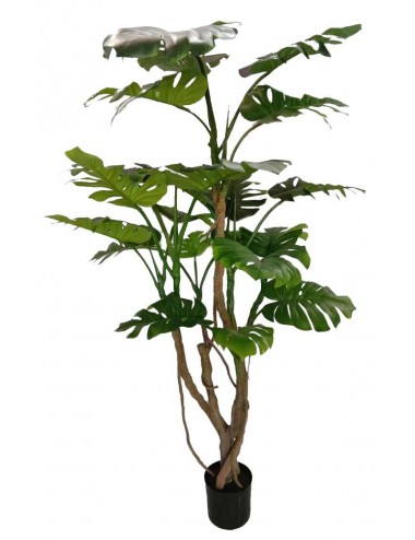 Philo monstera 190cm