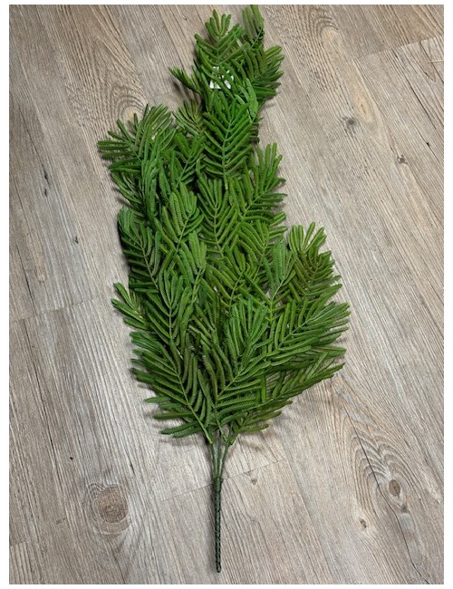 Chute de mimosa
