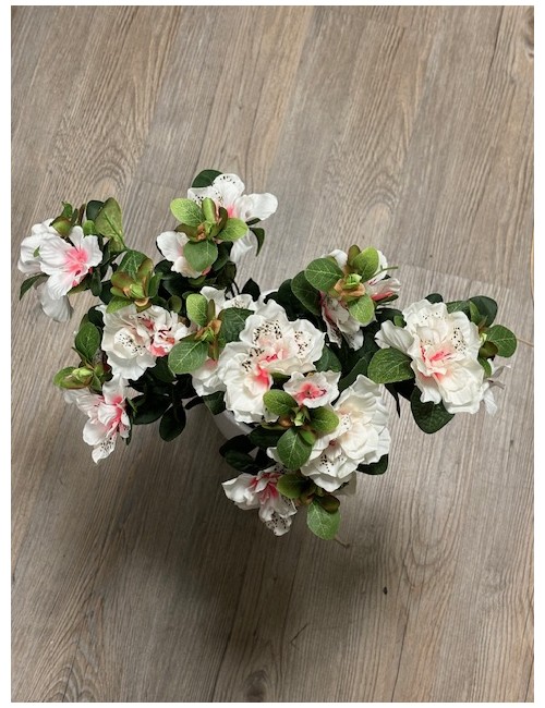 Piquet d'azalea