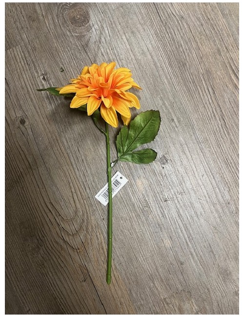 Dahlia tête