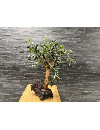 Olivier semi artificiel