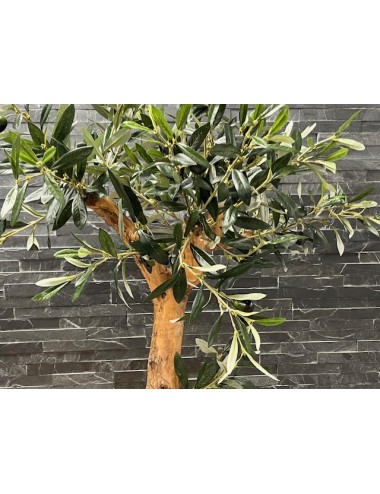 Olivier semi artificiel