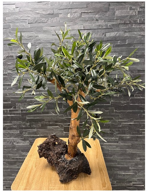 Olivier semi artificiel