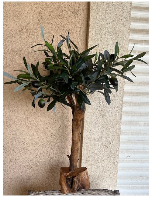 Olivier semi artificiel