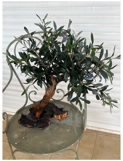 Olivier semi artificiel