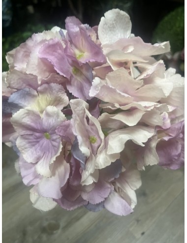 Hortensia tige 60cm