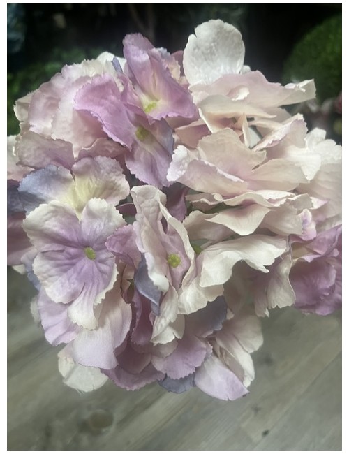 Hortensia tige 60cm