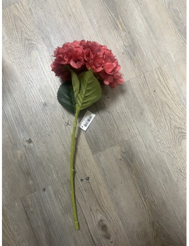 Hortensia rouge clair 50 cm