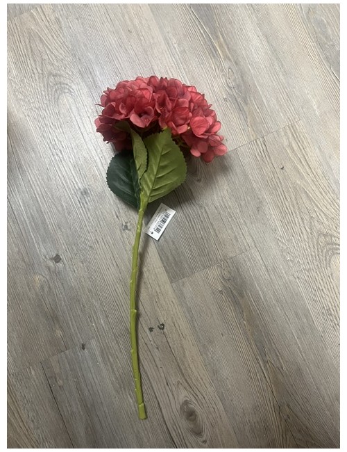 Hortensia rouge clair 50 cm