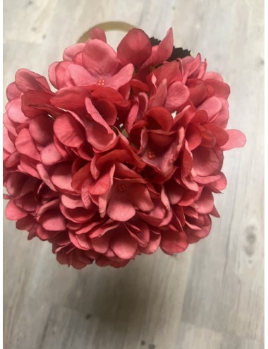 Hortensia rouge clair 50 cm