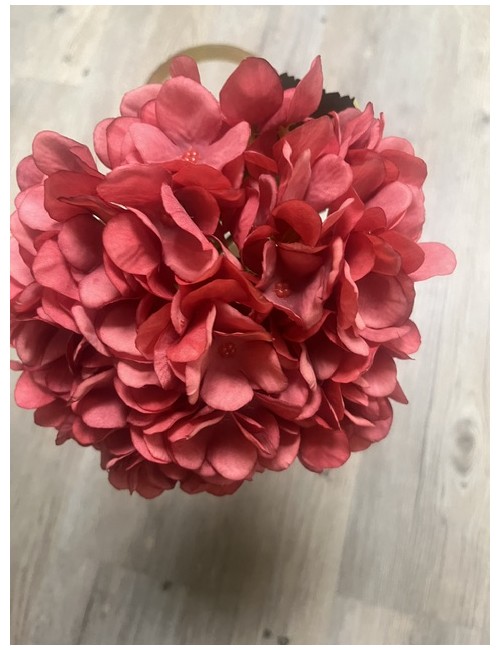 Hortensia rouge clair 50 cm